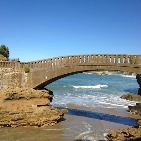 Appartement Les Falaises - *